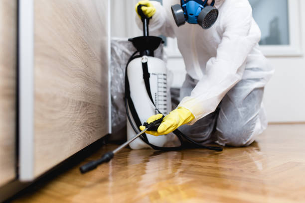 Best Termite Control Services  in Salina, UT
