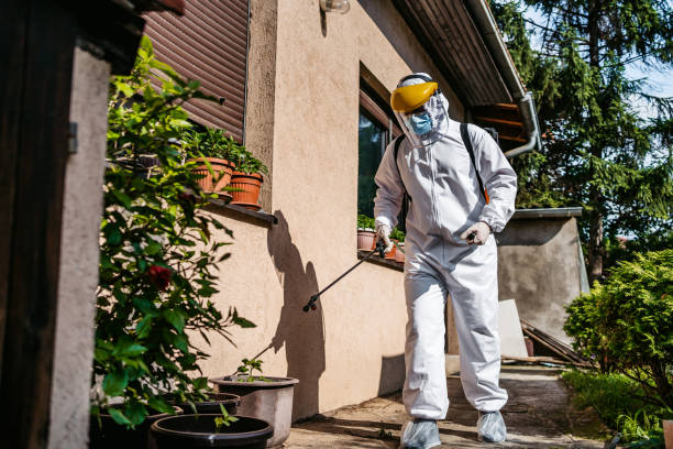 Best Affordable Exterminators  in Salina, UT