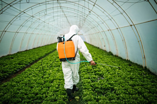 Best Pest Removal Services  in Salina, UT
