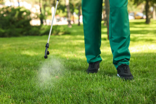 Professional Pest Control in Salina, UT