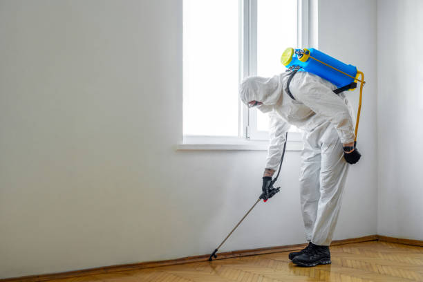 Best Insect Control  in Salina, UT