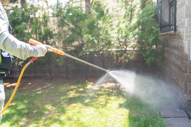 Best Wasp Removal Services  in Salina, UT