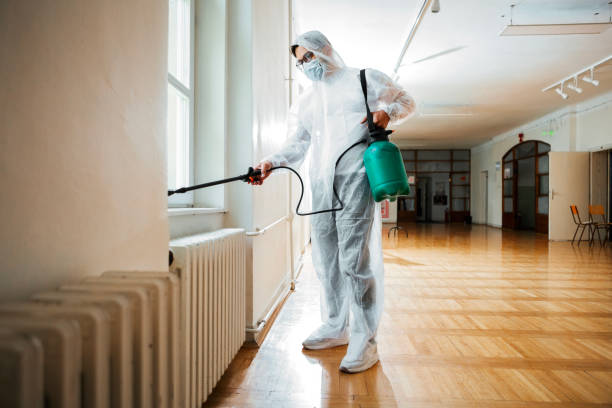 Best Best Pest Control Companies  in Salina, UT