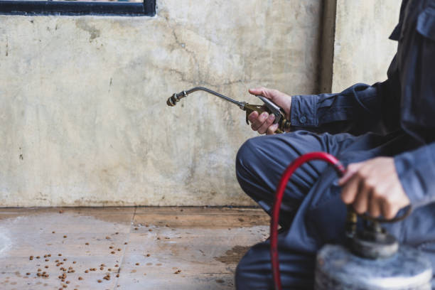 Pest Control Cost in Salina, UT